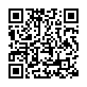 [Ohys-Raws] Tetsuwan Birdy Decode - 03 (AT-X 1280x720 x264 AAC).mp4的二维码