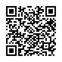 [Ohys-Raws] Tetsuwan Birdy Decode - 11 (AT-X 1280x720 x264 AAC).mp4的二维码