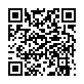 [NanoAlchemist] Seitokai Yakuindomo OAD [DVDrip 1280x720 x264 AC-3]的二维码