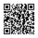 [WZF]Seiken_no_Blacksmith_-_Capitulos_01~12[FINAL][720p][X264-AAC][1280x720][Sub_Esp]的二维码