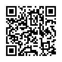 NSYNC - Discography [FLAC] [PMEDIA] ⭐️的二维码