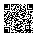 2008年世界一级方程式锦标赛的二维码