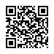 KMFDM-Blitz-(Advance)-2009-FNT的二维码