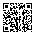 [DCAN] Detective Conan Movie 24 [DCANSubs]  (Hi10 1080p) (FLAC) [ADEF87DF].mkv的二维码