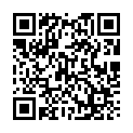 [Dodgy] Mazinger Z Infinity (BD 1280x720 x264 AAC) [CD493F0B].mkv的二维码